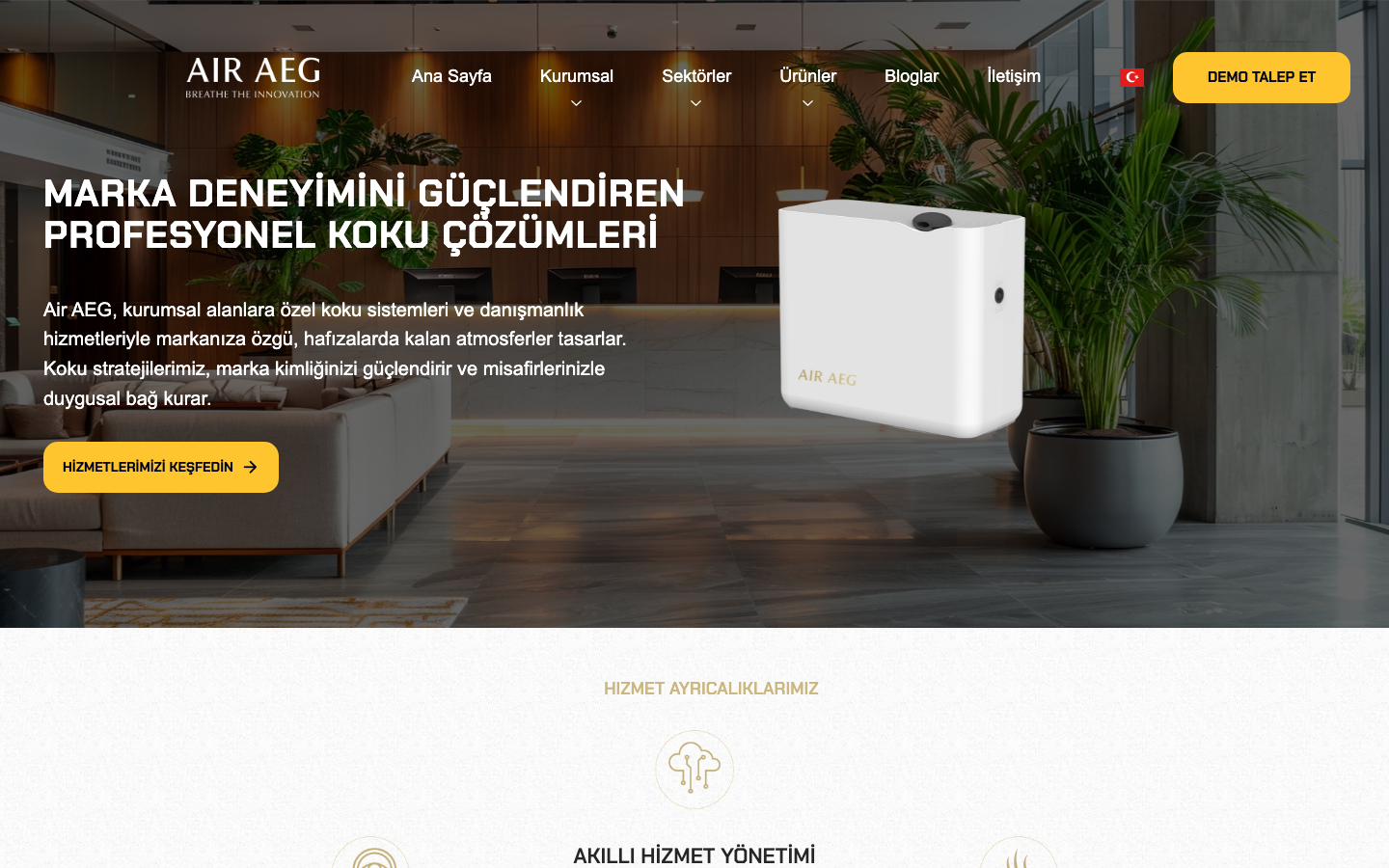 Air AEG web sitesi